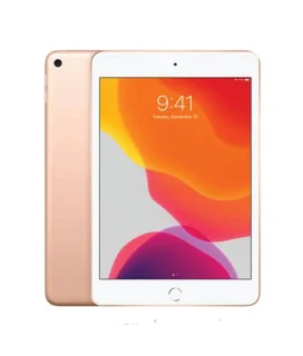 iPad-Mini